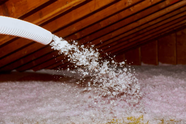 Best Residential Insulation Services  in Deville, AL