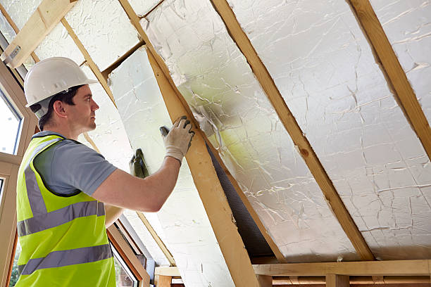 Best Crawl Space Insulation  in Deville, AL