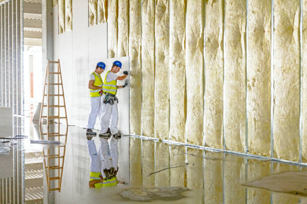 Best Crawl Space Insulation  in Deville, AL